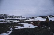 dog sledding on land.jpg